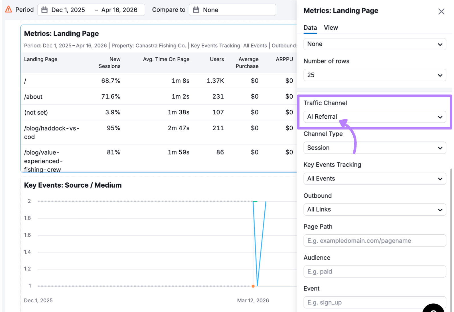AI referral traffic filtering in my reports