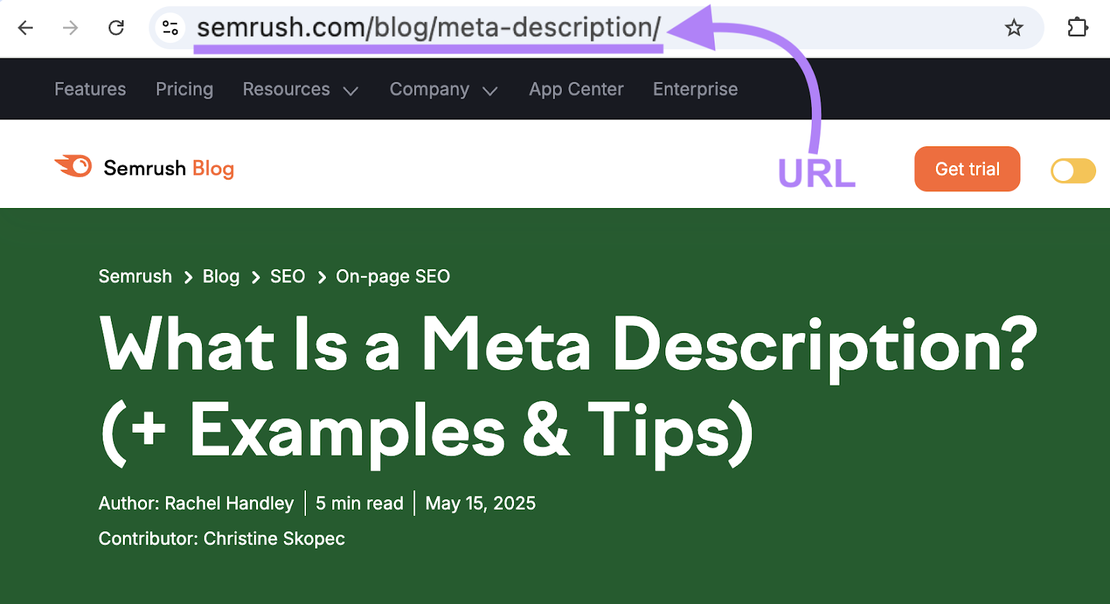The URL in this example is sr02.myamztools.com/blog/meta-description.